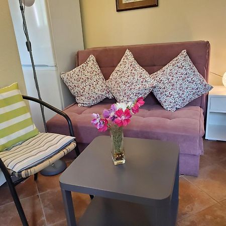 Ecohouse Risan Studio Luaran gambar