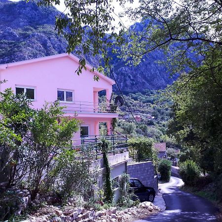 Ecohouse Risan Studio Luaran gambar